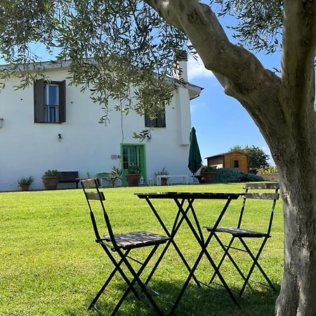 Bed And Breakfast Country Cottage チビタベッキア エクステリア 写真