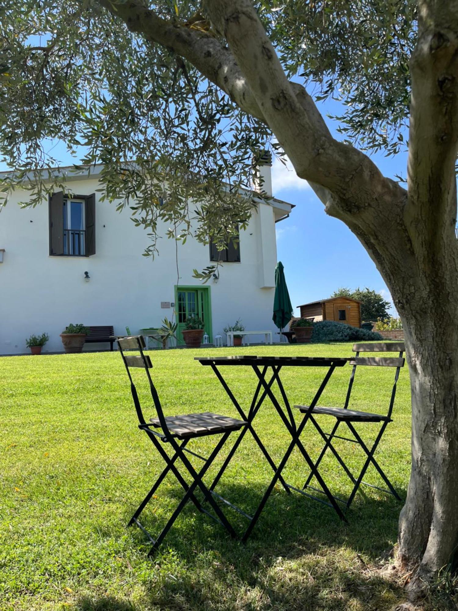Bed And Breakfast Country Cottage チビタベッキア エクステリア 写真